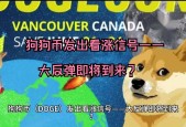 开云体育入口-关于狗狗币突发安全漏洞，亏损多达284万美元的信息