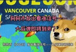 开云体育入口-关于狗狗币突发安全漏洞，亏损多达284万美元的信息
